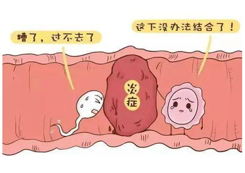 女性有炎癥能做試管嗎？有炎癥可以做試管嗎？