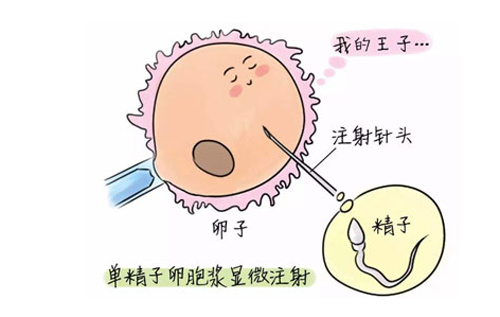 做試管嬰兒的全部流程和費用？做試管嬰兒,全算下來多少錢？