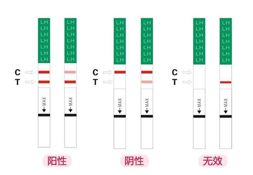 移植襄胚試紙不加深什么原因？建議驗血檢查hcg確定！